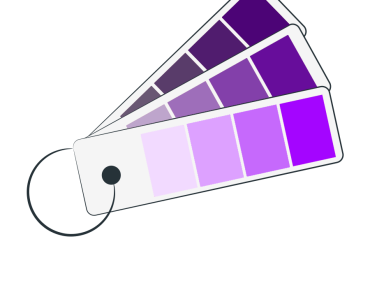 color palette